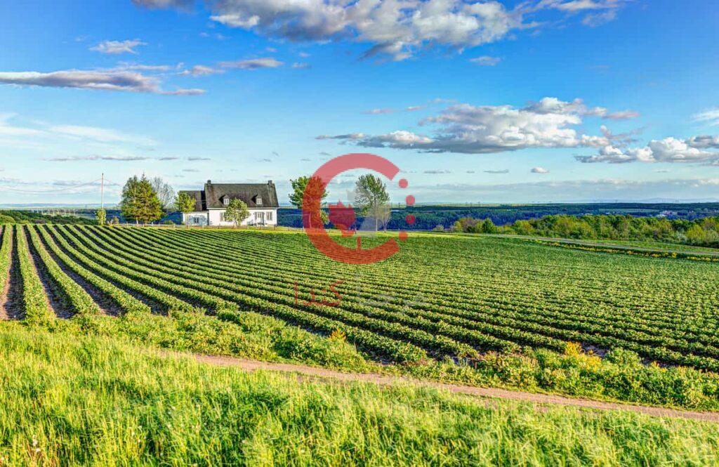 شراء أرضي زراعية في مختلف مقاطعات كندا