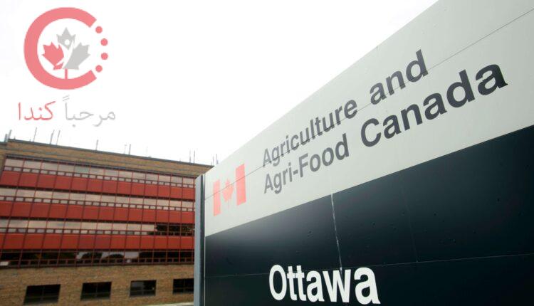 وزارة الزراعة والأغذية الزراعية الكندية